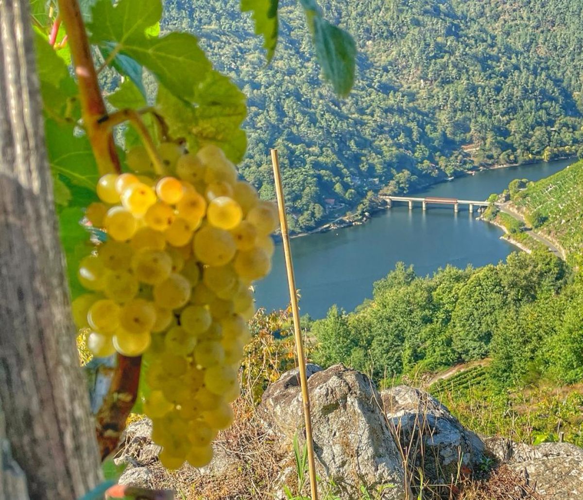 bodega_ecosacra