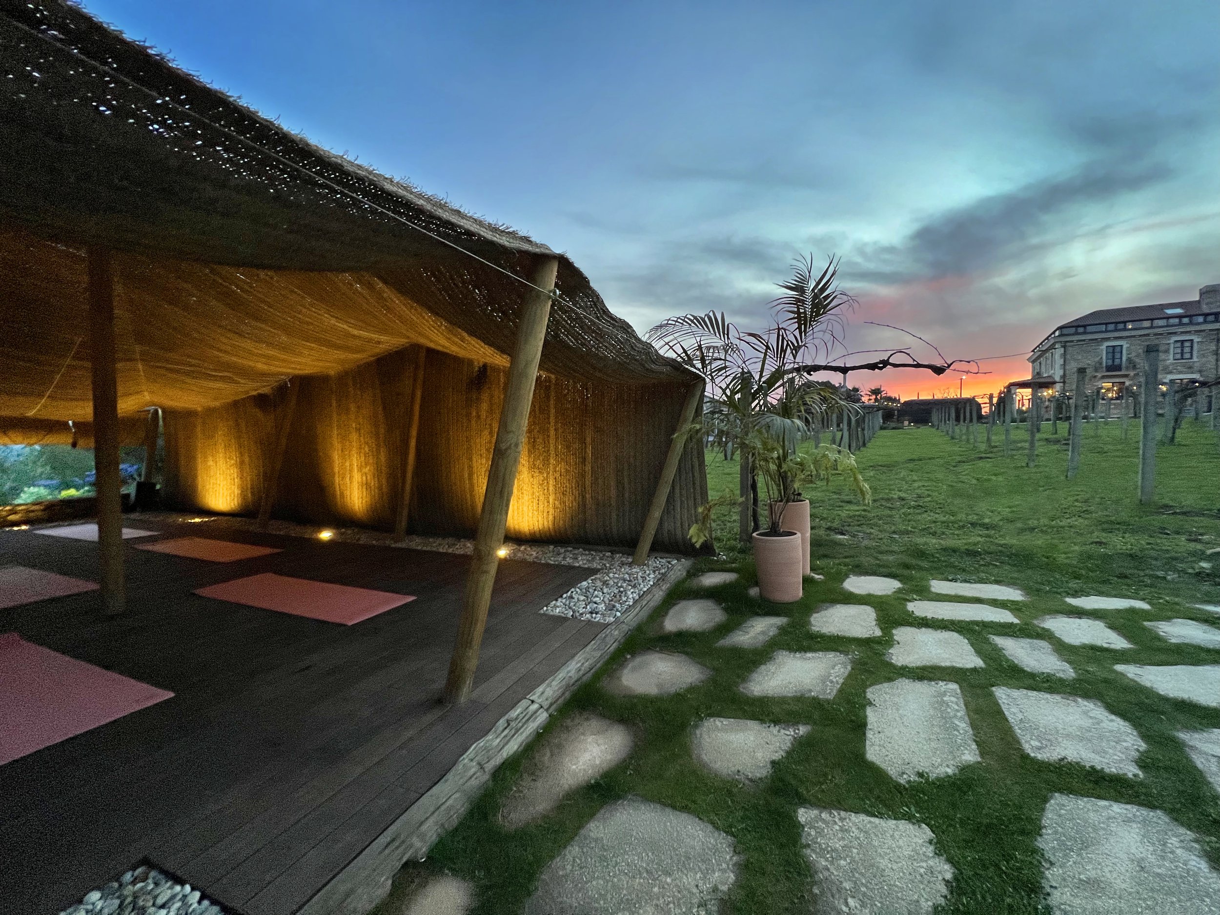 Carpa Casa beatnik