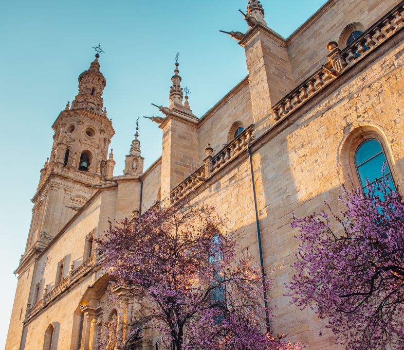 Concatedral de Logroño