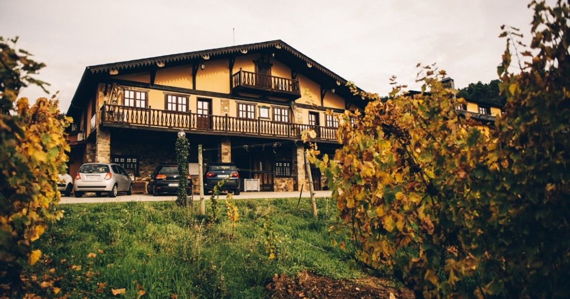 Bodega Palacio de canedo