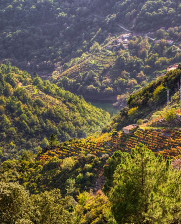 Ribeira Sacra