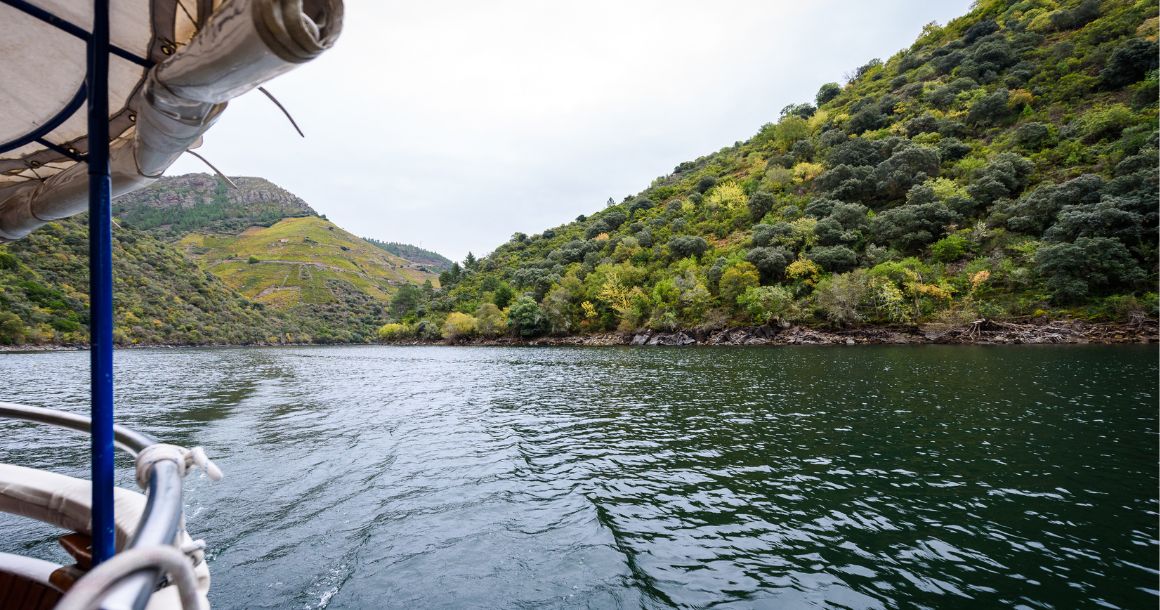 Ribeira Sacra Paseo en Barco