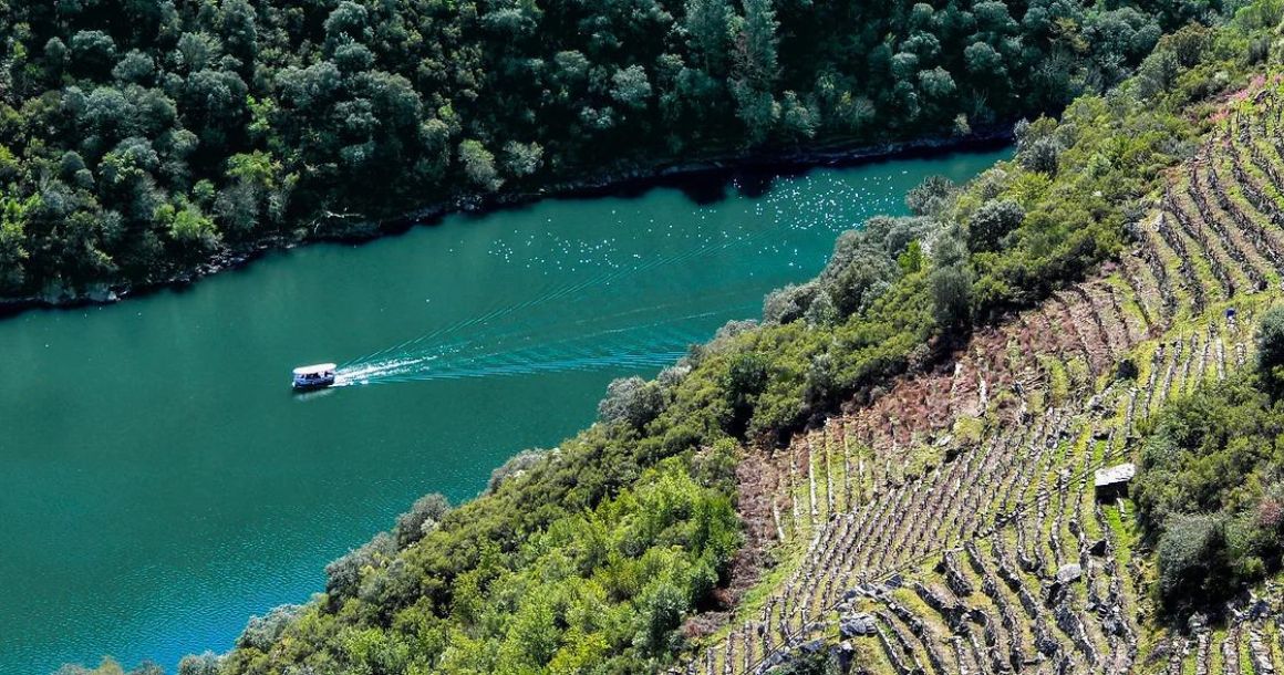 Ribeira Sacra Paseo en Barco