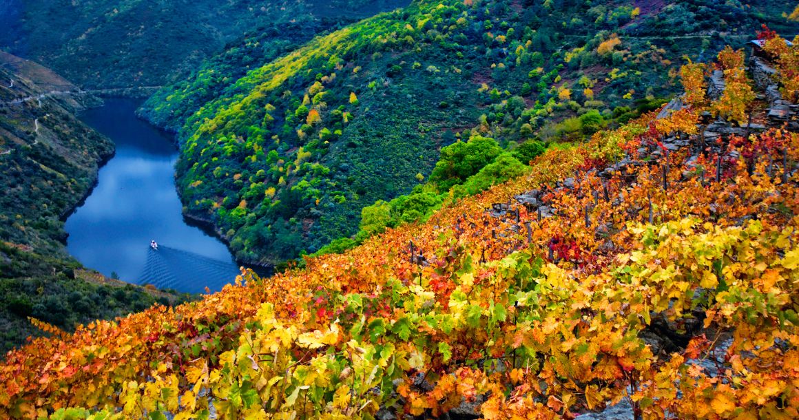 Ribeira Sacra Paseo en Barco