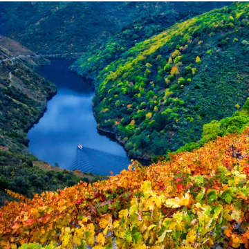 Ribeira Sacra